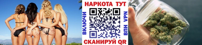 Купить закладку Канабис  Меф  Alpha-PVP  Гашиш  Дальнегорск