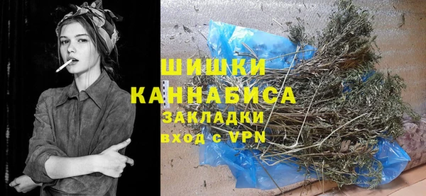 амф Ладушкин