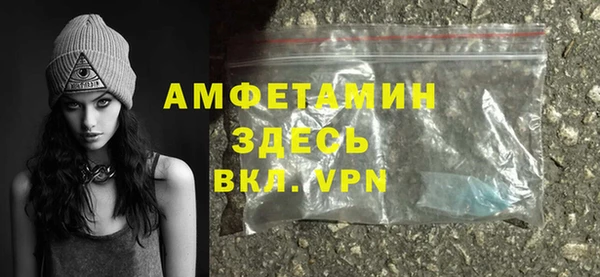 амф Ладушкин