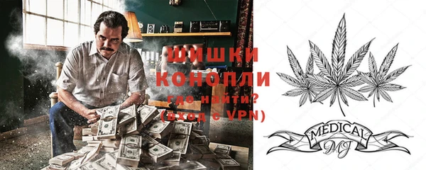 амф Ладушкин